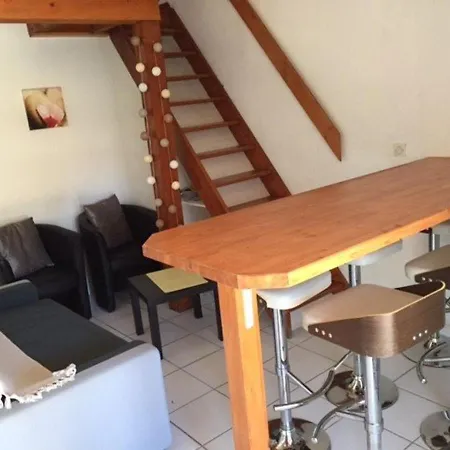 T3 Mezzanine 6 Pers. Avec Piscine, Parking Prive, Proche Et Commerces - Fr-1-81-270
